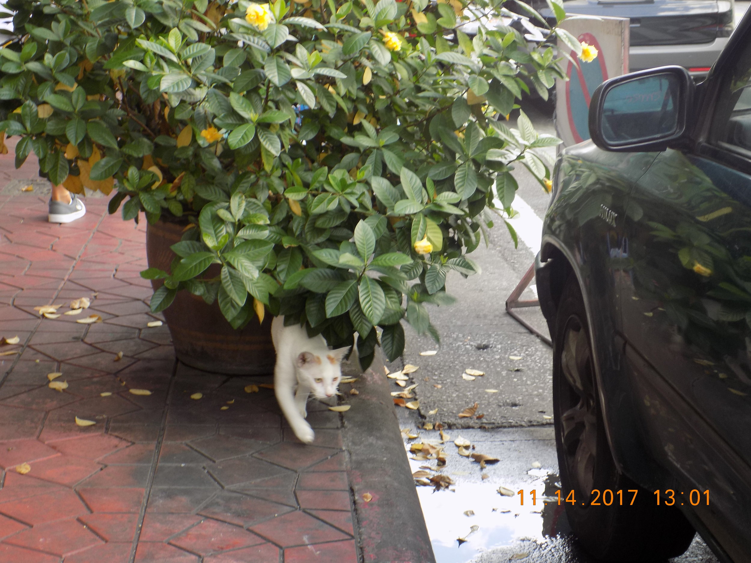 DSCN1557.JPG