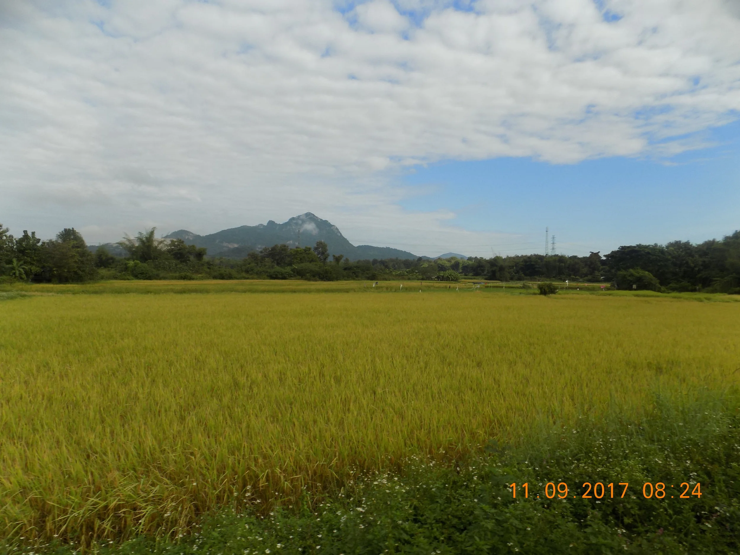 DSCN0867.JPG