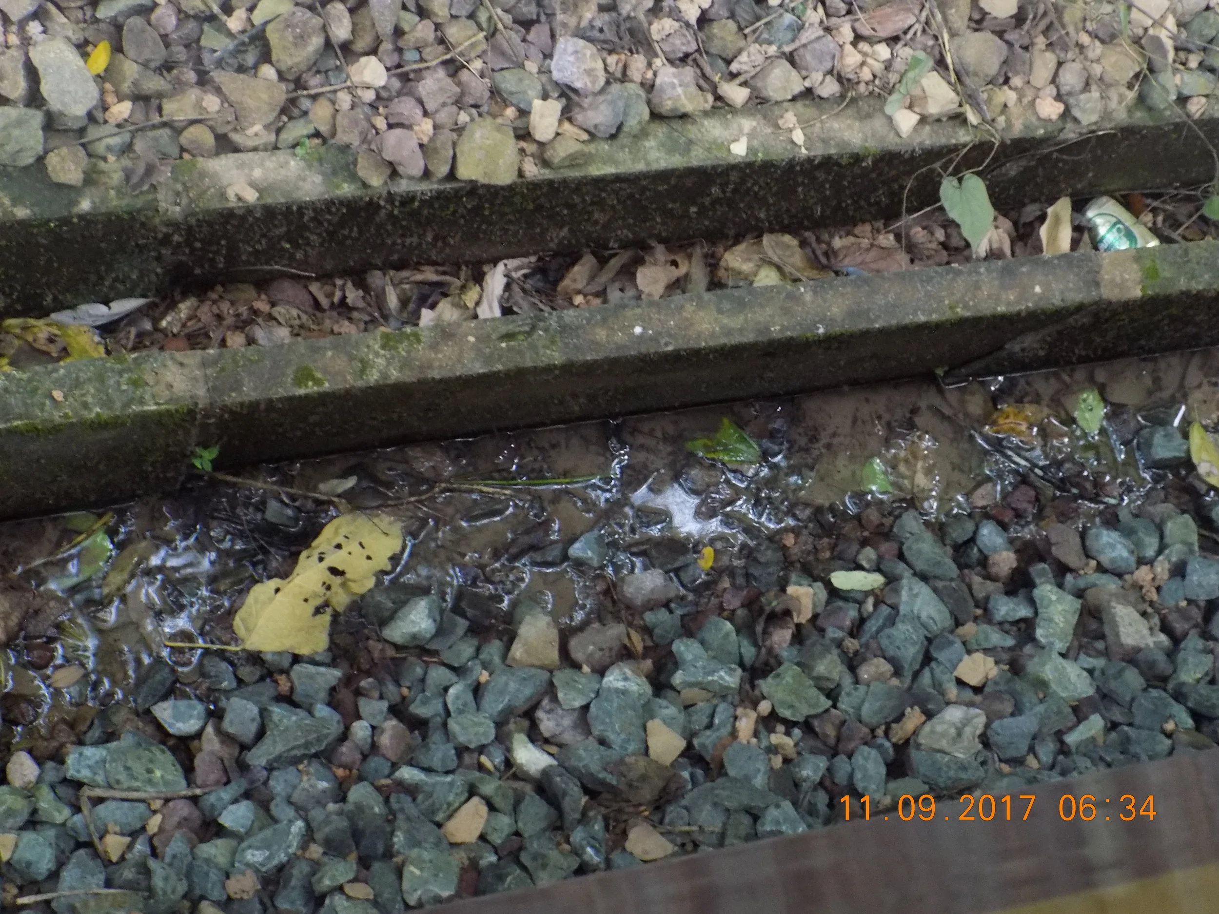 DSCN0836.JPG