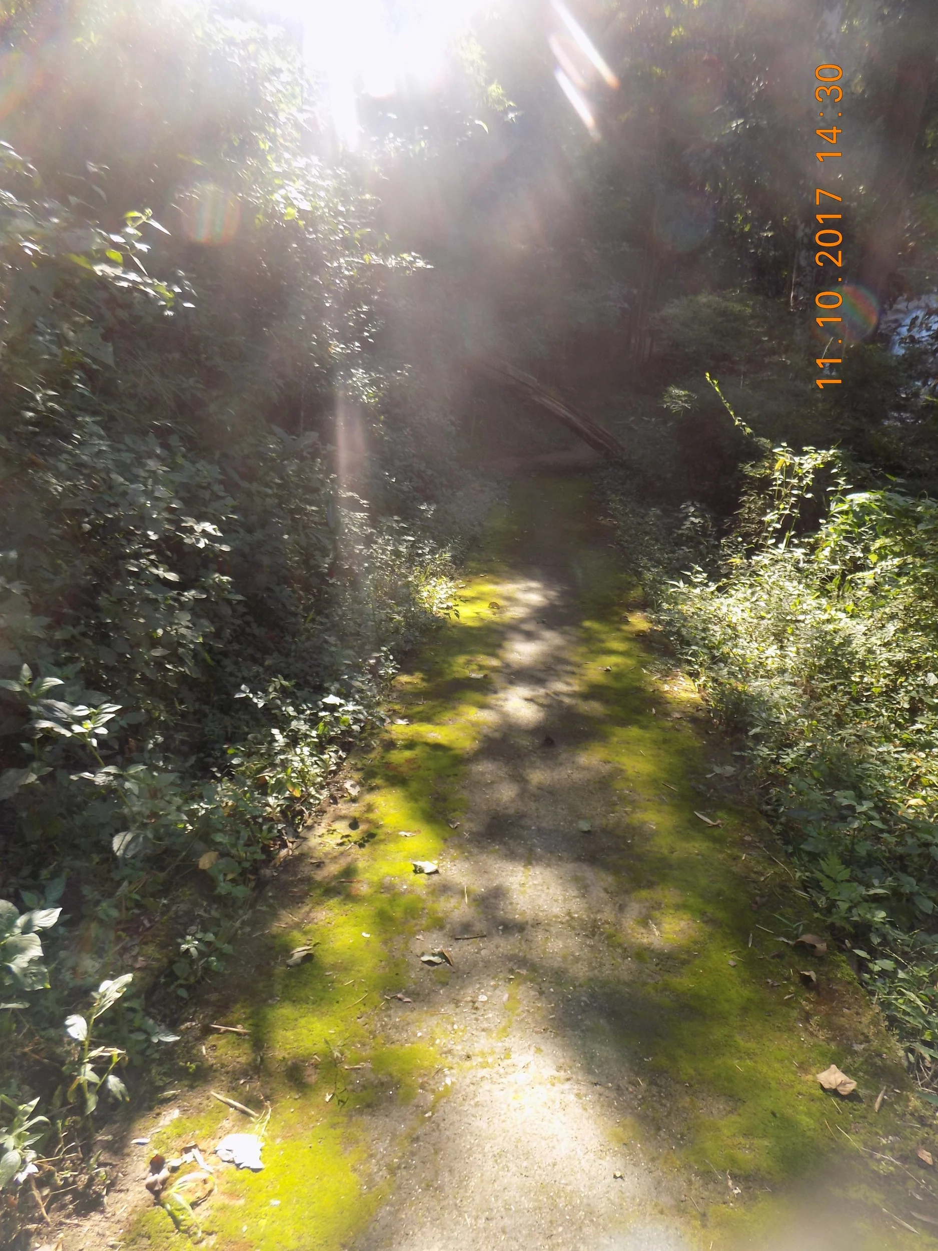 DSCN0933.JPG
