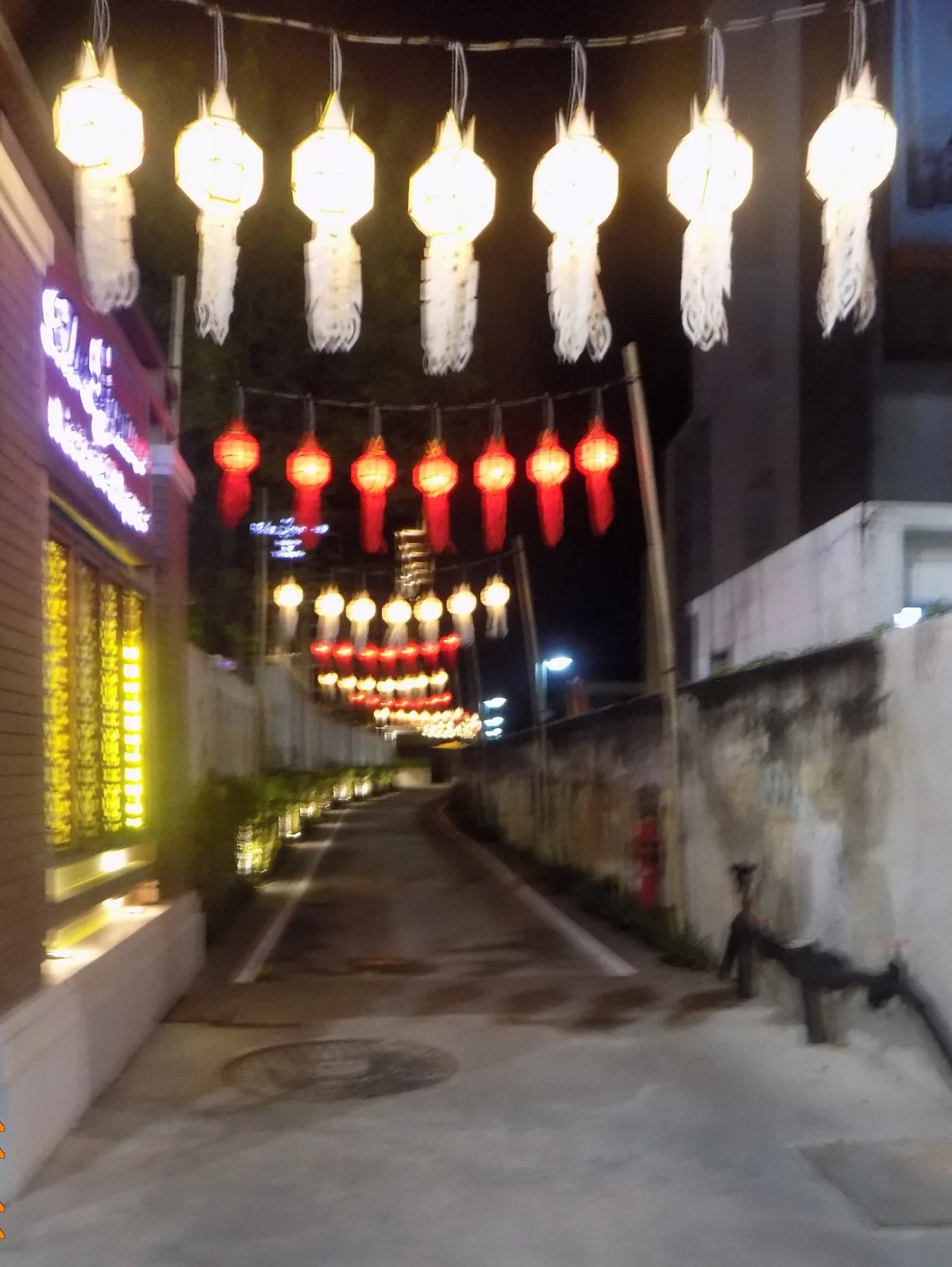 DSCN1204.JPG