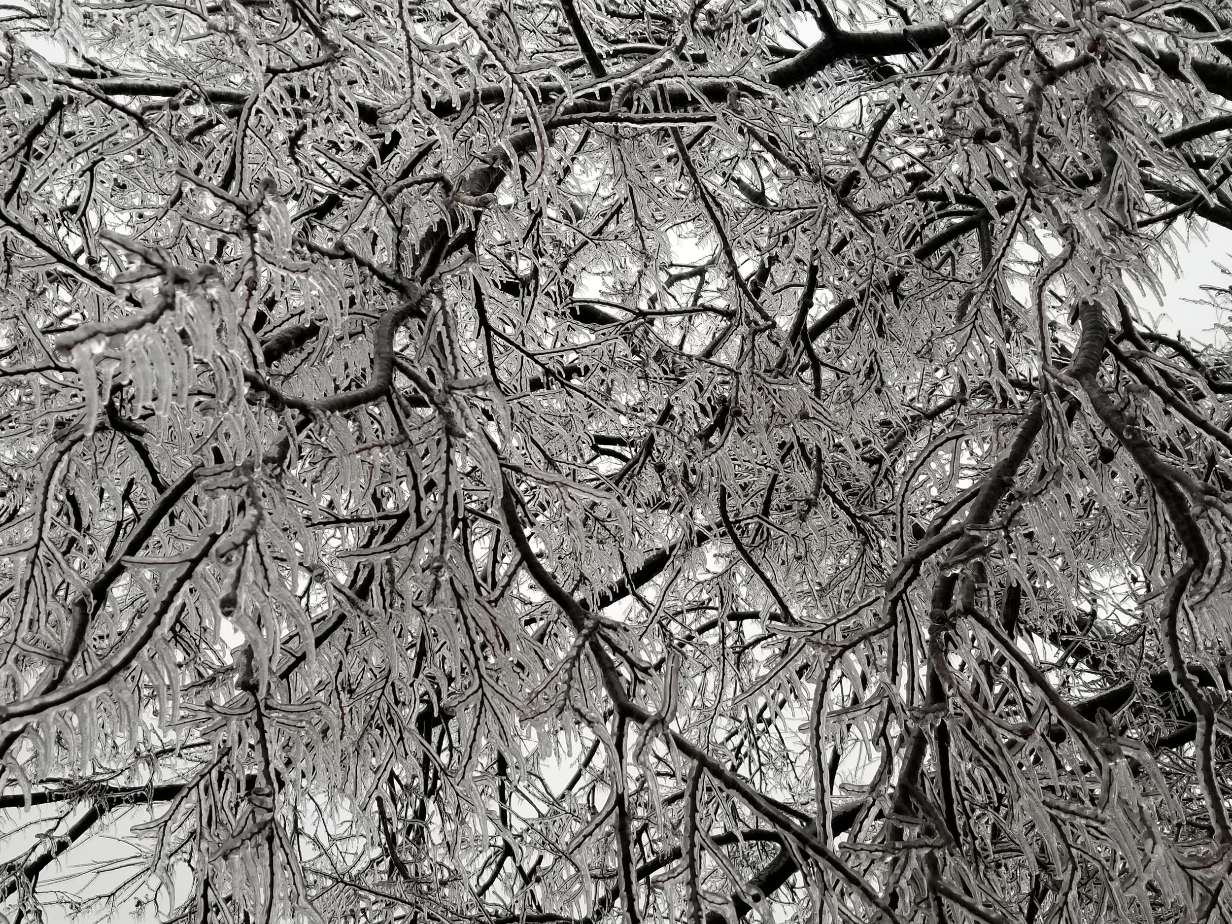 20180221_165412.jpg