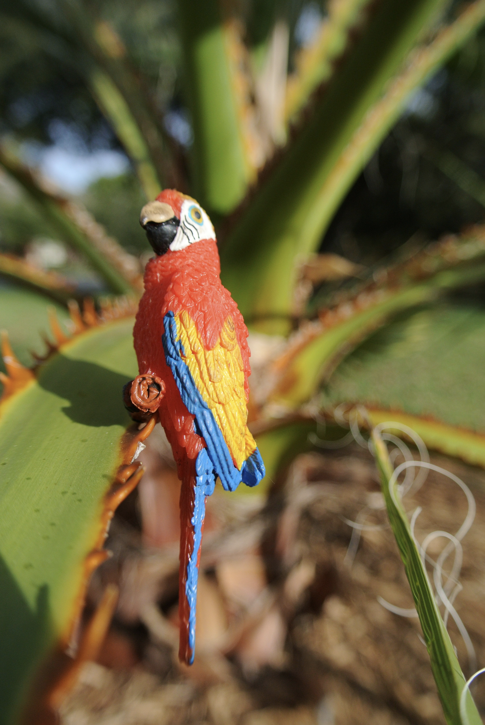 Screen Shot 2022-08-04 at 7.46.32 PM.png