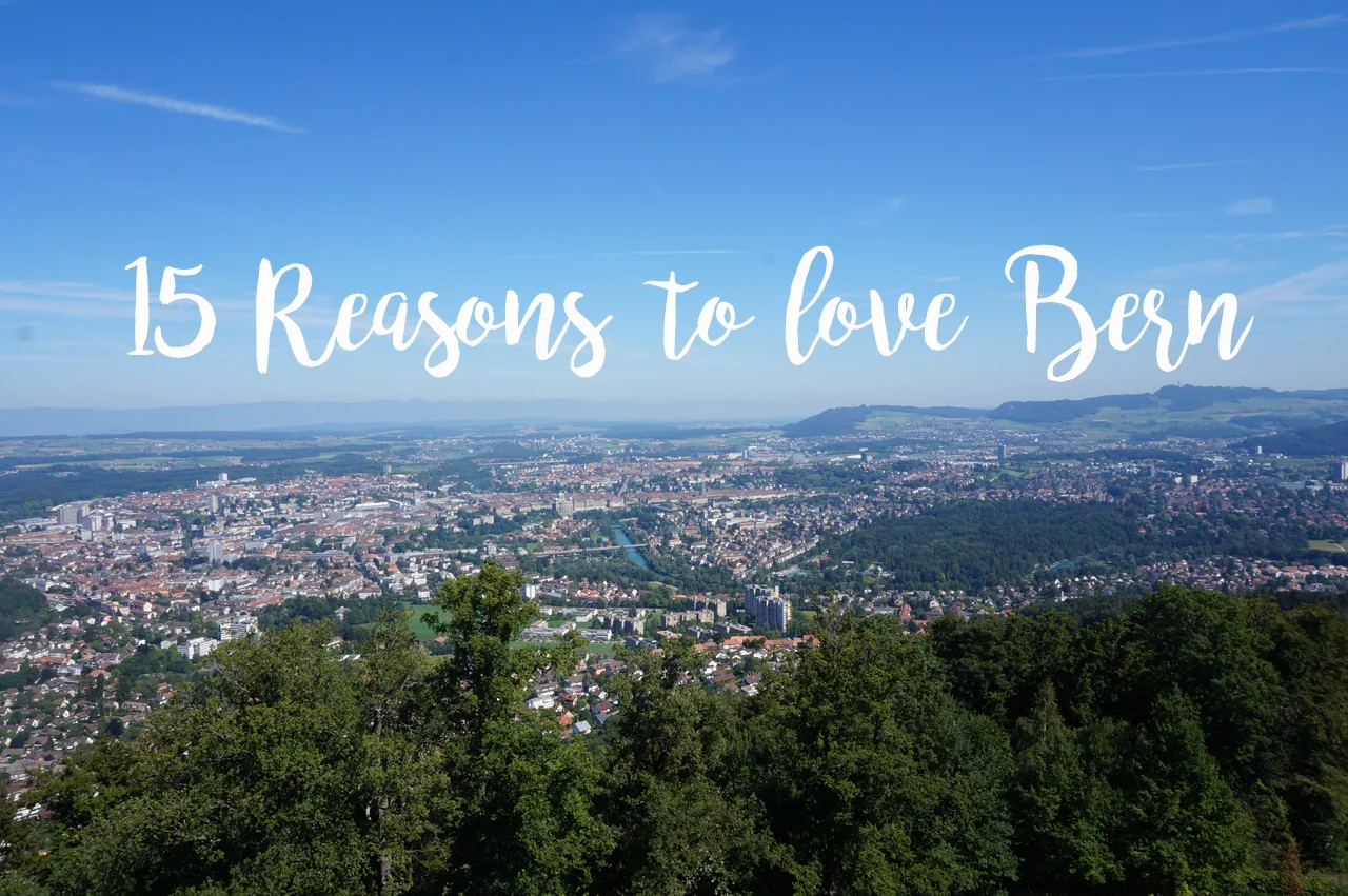 15 Reasons to love Bern