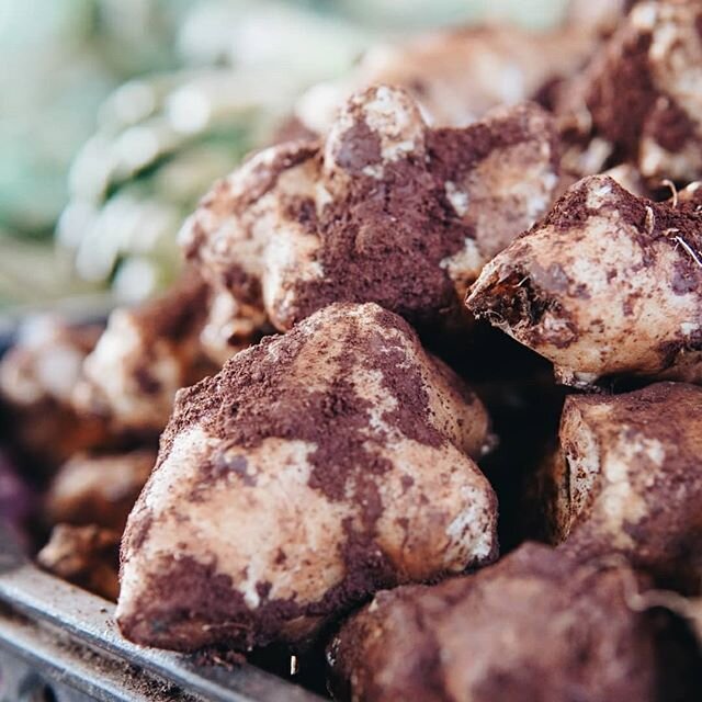 F O O D I E

sunchoke ▪️ artichoke ▪️lemon ▪️zucchini ▪️pepper

#veggies #foodphotography #instafood #agadir #morocco