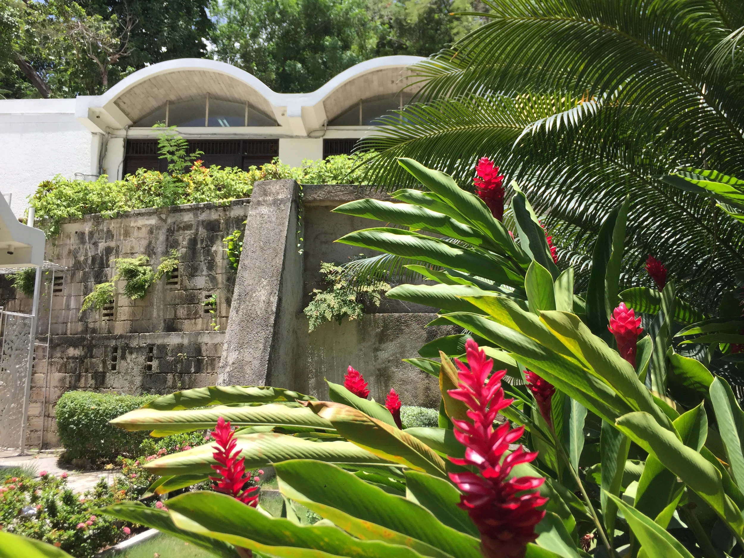 Port-Au-prince-yi 2.jpg