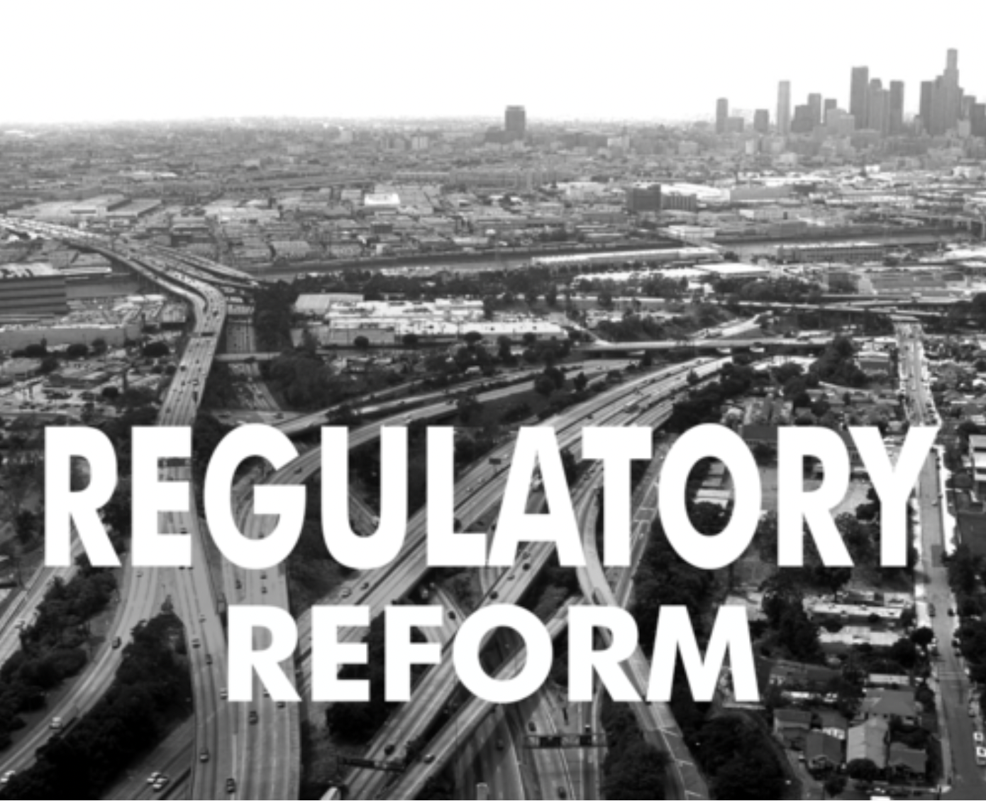 Regulatory Reform