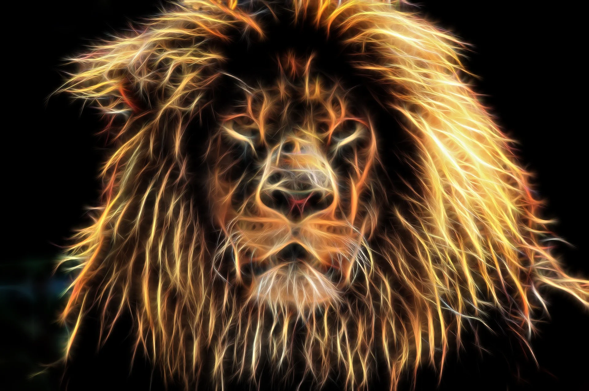 Image by Sean Duffy; Collected from Pixabay