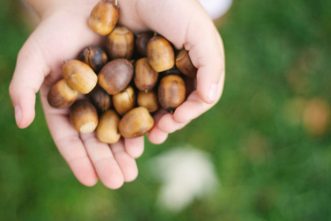 Why We Must Know His Heart: How It Will Change the world