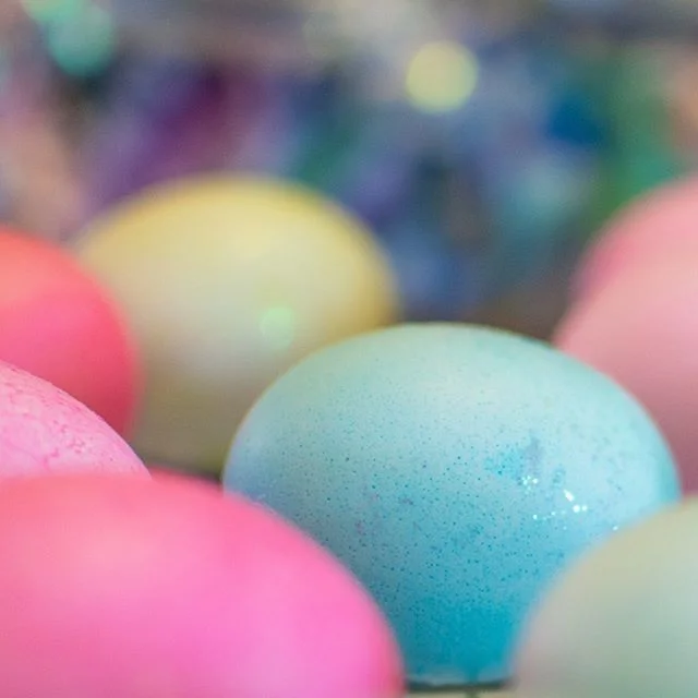 Happy Easter! We always dye eggs for Easter. What are your holiday traditions? 
#easter #eastereggs #houstonphotographer #texasphotographer #photography
