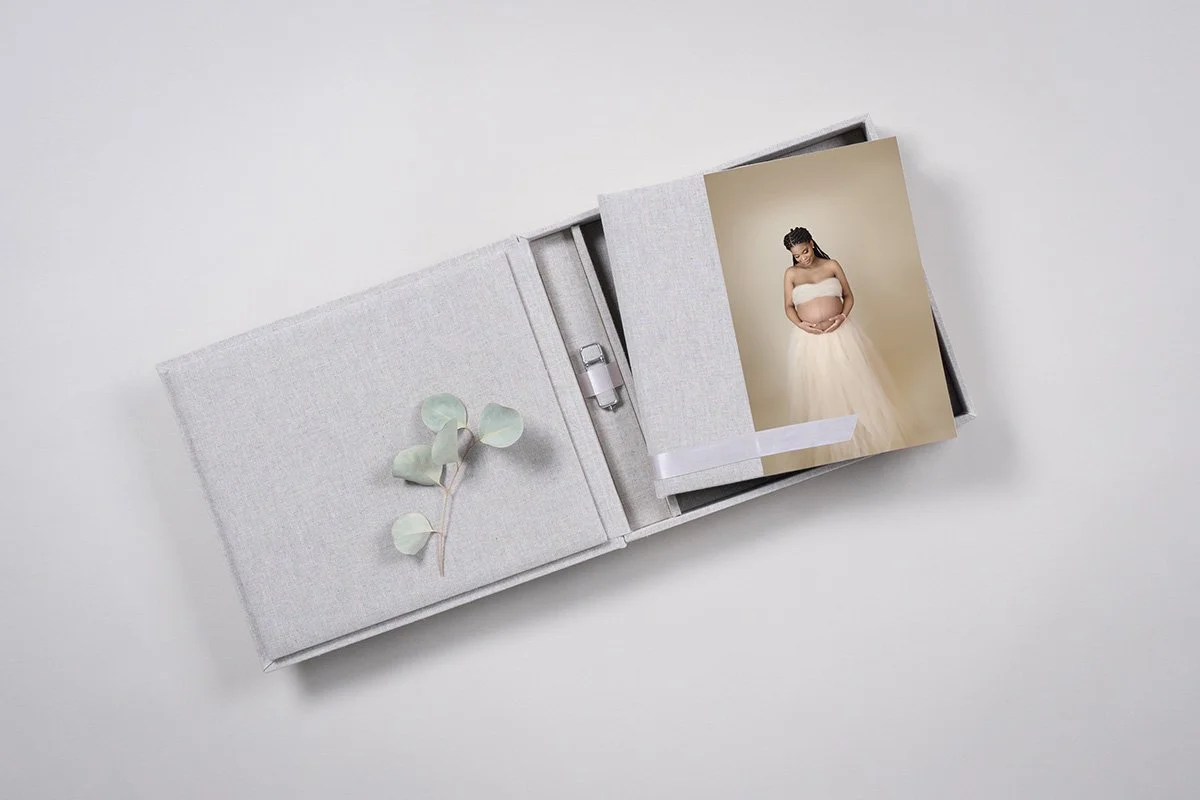 maternity photoshoot minneapolis photo album.jpg