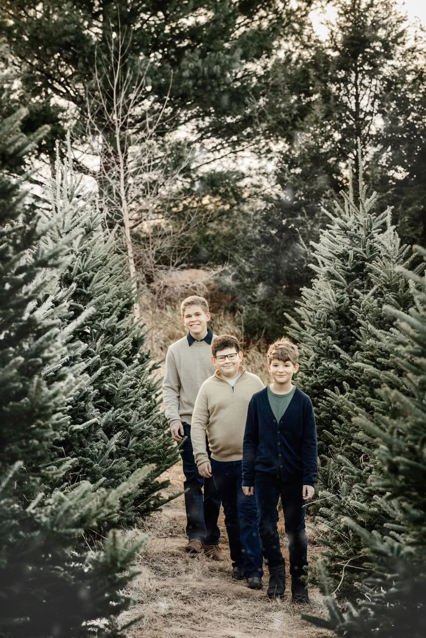 st paul hansen tree farm mini photo session 5S0A5238 Large.jpeg
