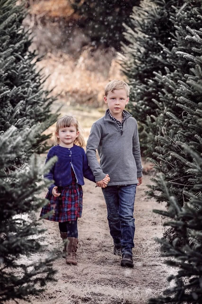 st paul hansen tree farm mini photo session 5S0A4696-Frost Large.jpeg
