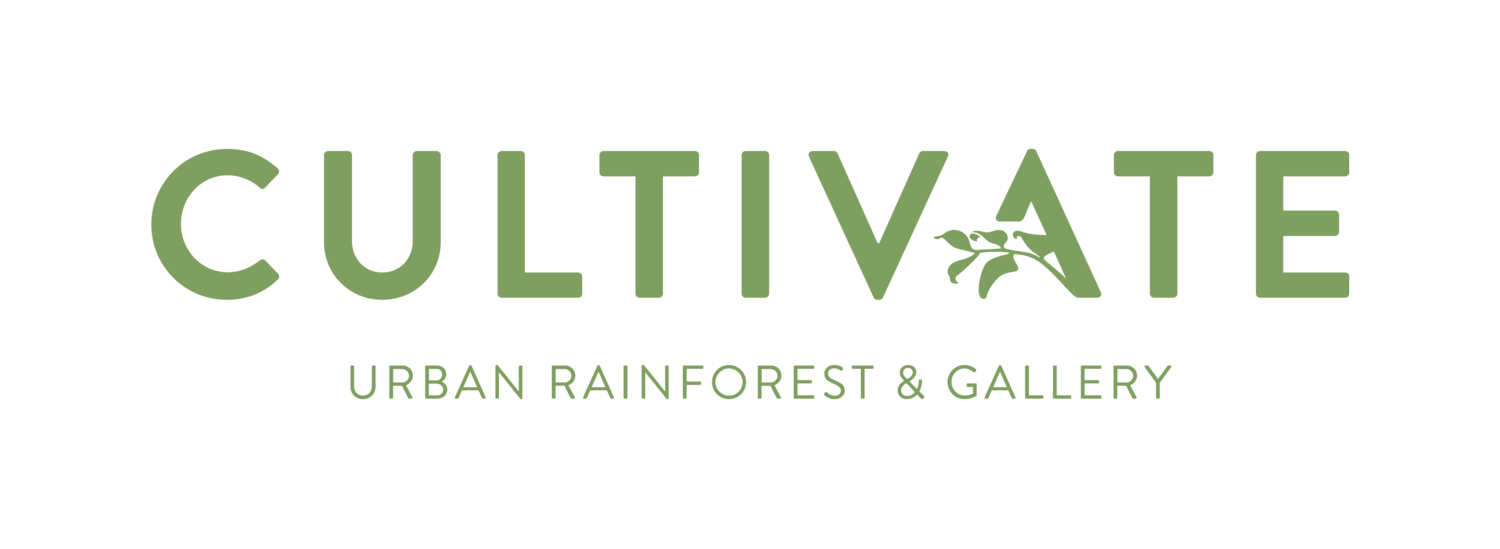 Cultivate Urban Rainforest & Gallery