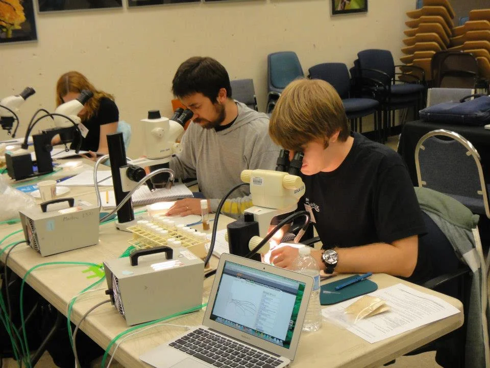 Drosophila Species Workshop, UCSD, CA. 2012