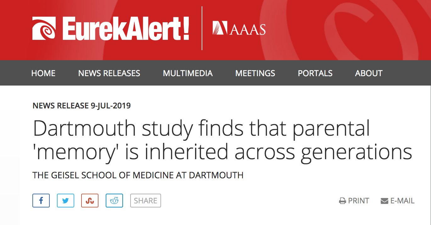 Screen Shot 2019-07-09 at 9.57.54 AM.png