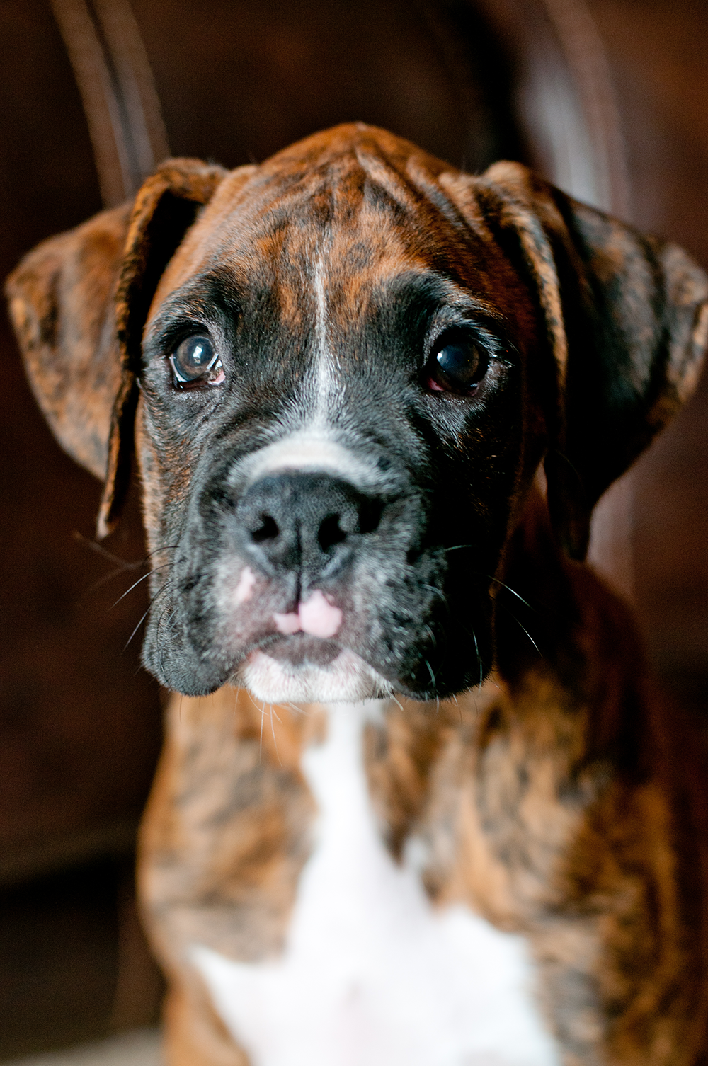 Murphy-3-23-13_002.png