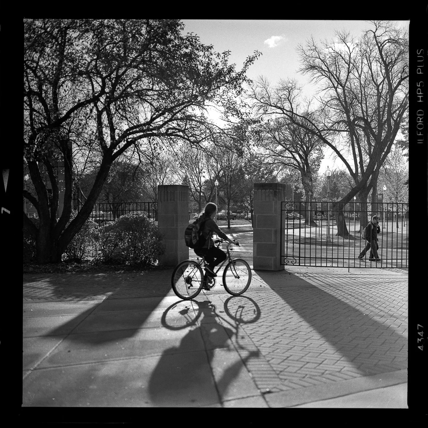 The Bicyclist
