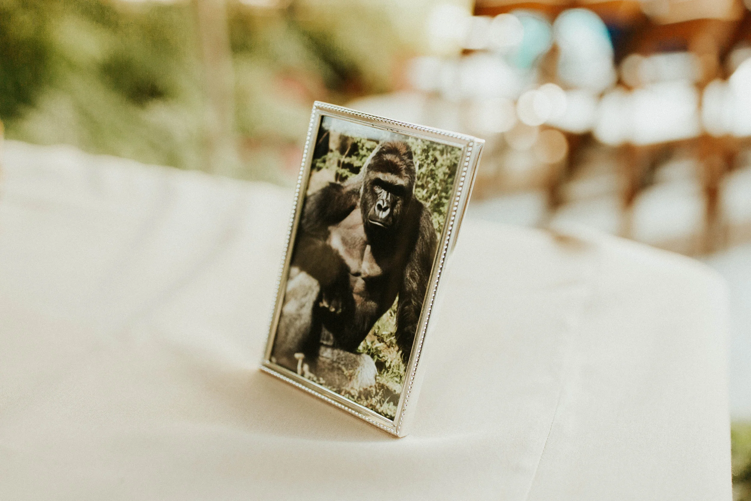 melissa+sean-279.jpg