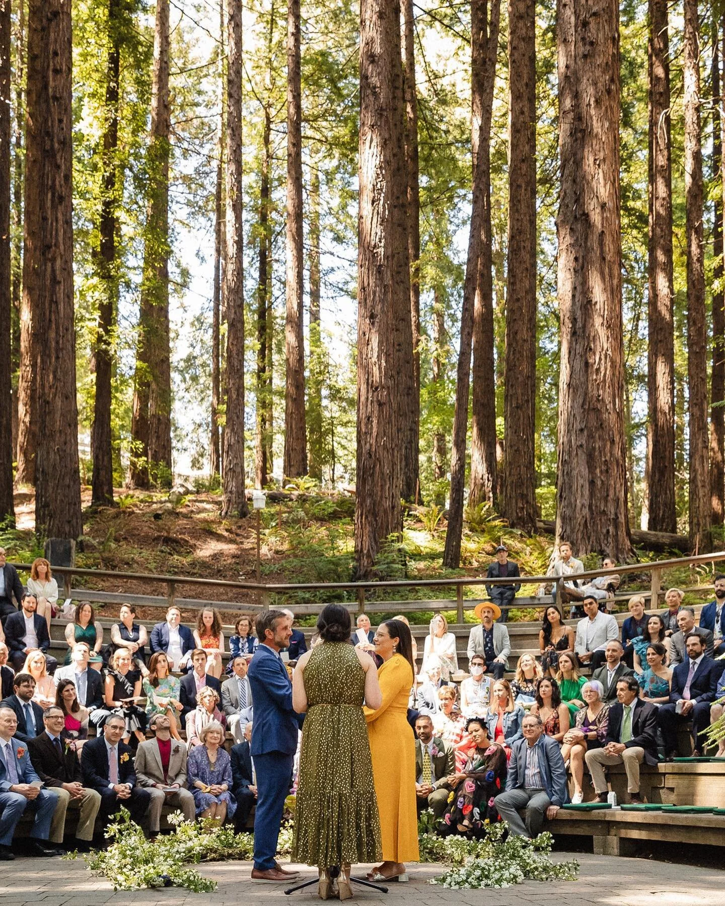 And the bride wore yellow😍
⠀⠀⠀⠀⠀⠀⠀⠀⠀
@byalysamonet @mollykate.photography @ampersand_sf @ucbgarden @comalrestaurants