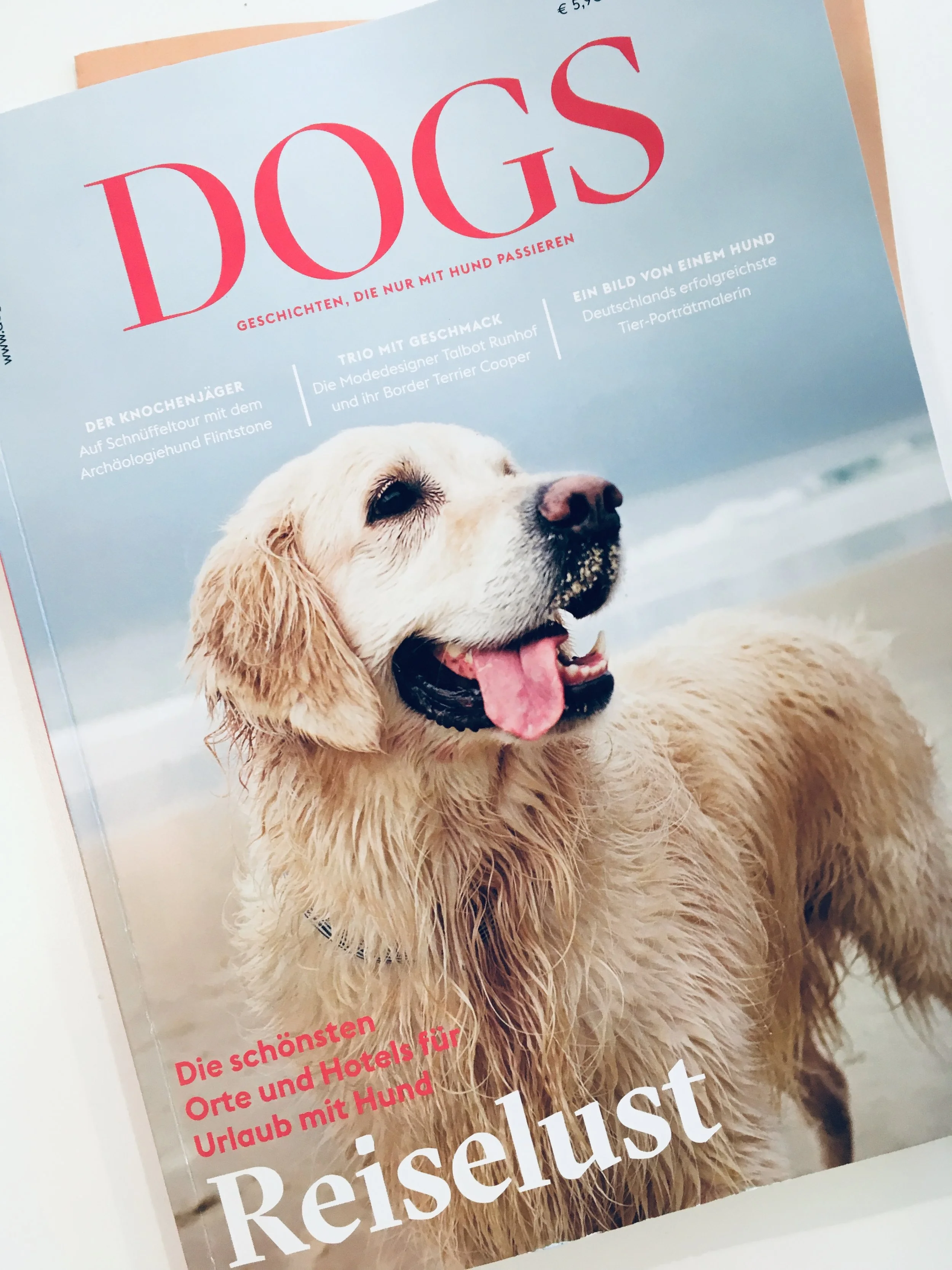 DOGS MAGAZIN