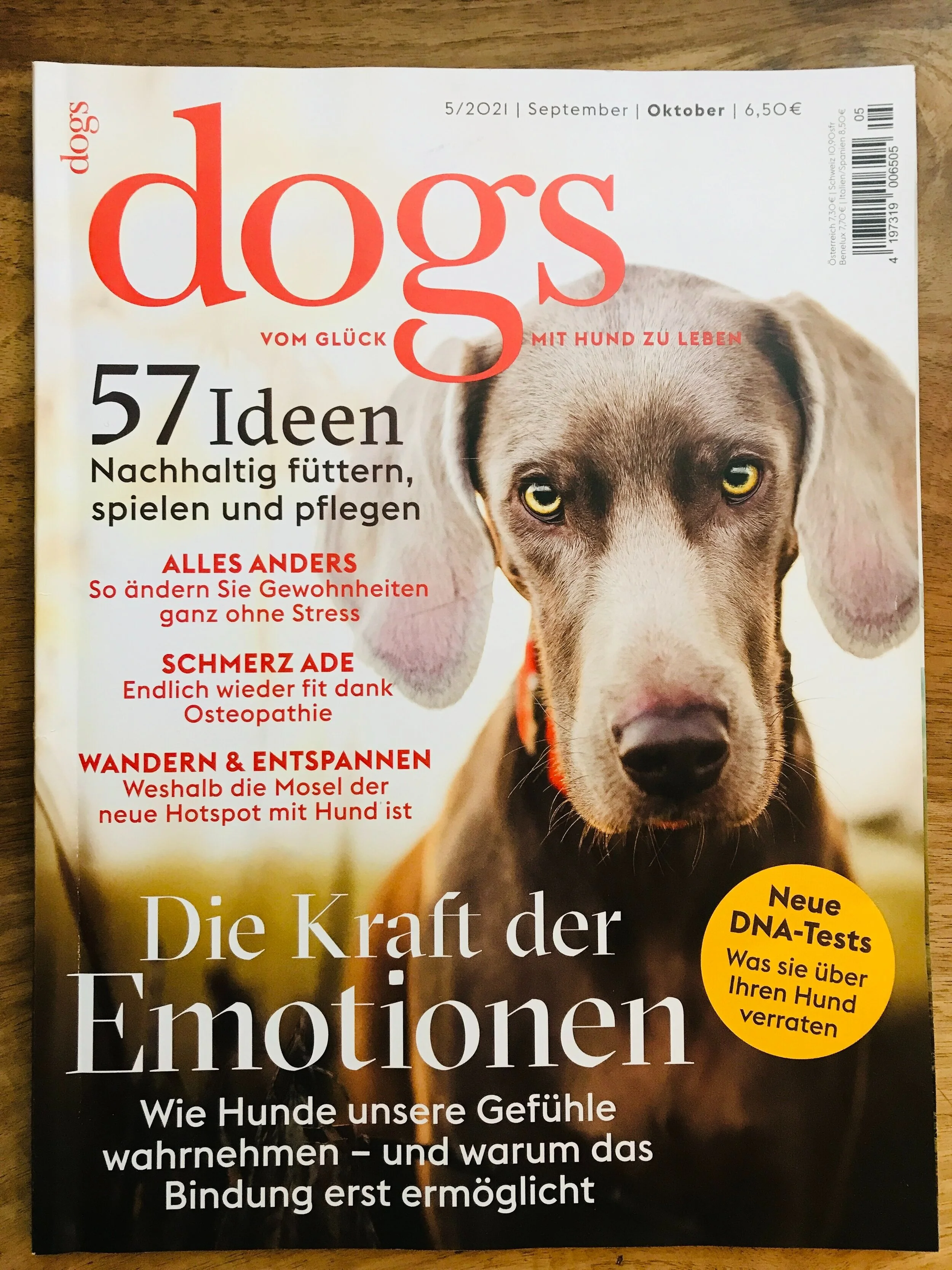 DOGS MAGAZIN