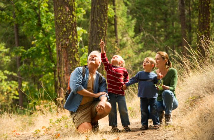 Dún na Rí Forest Park is 299 hectares and provided castle ruins, waterfalls and a famous wishing well to explore (10 min drive).