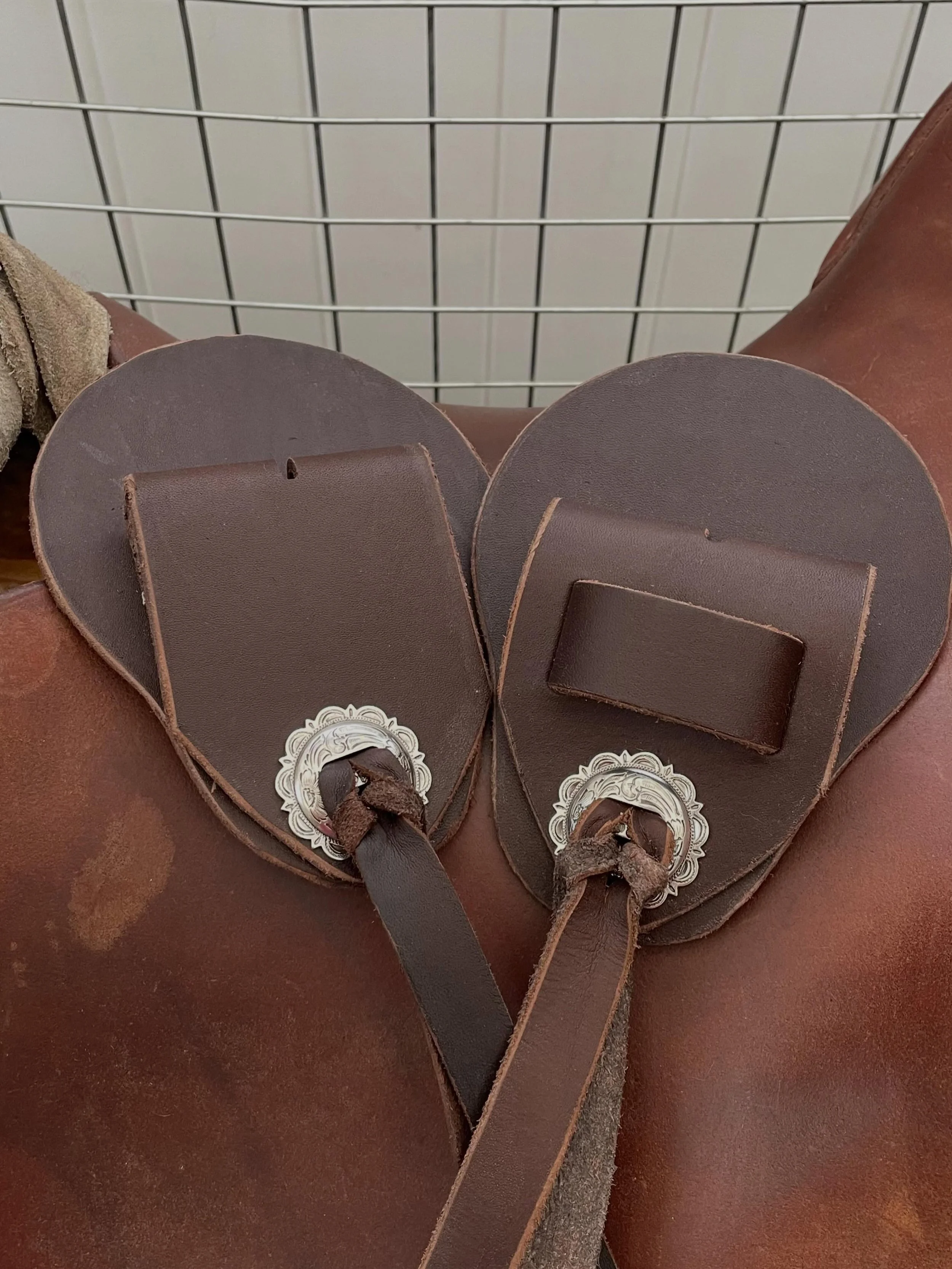 Glenns buckle guard.jpg