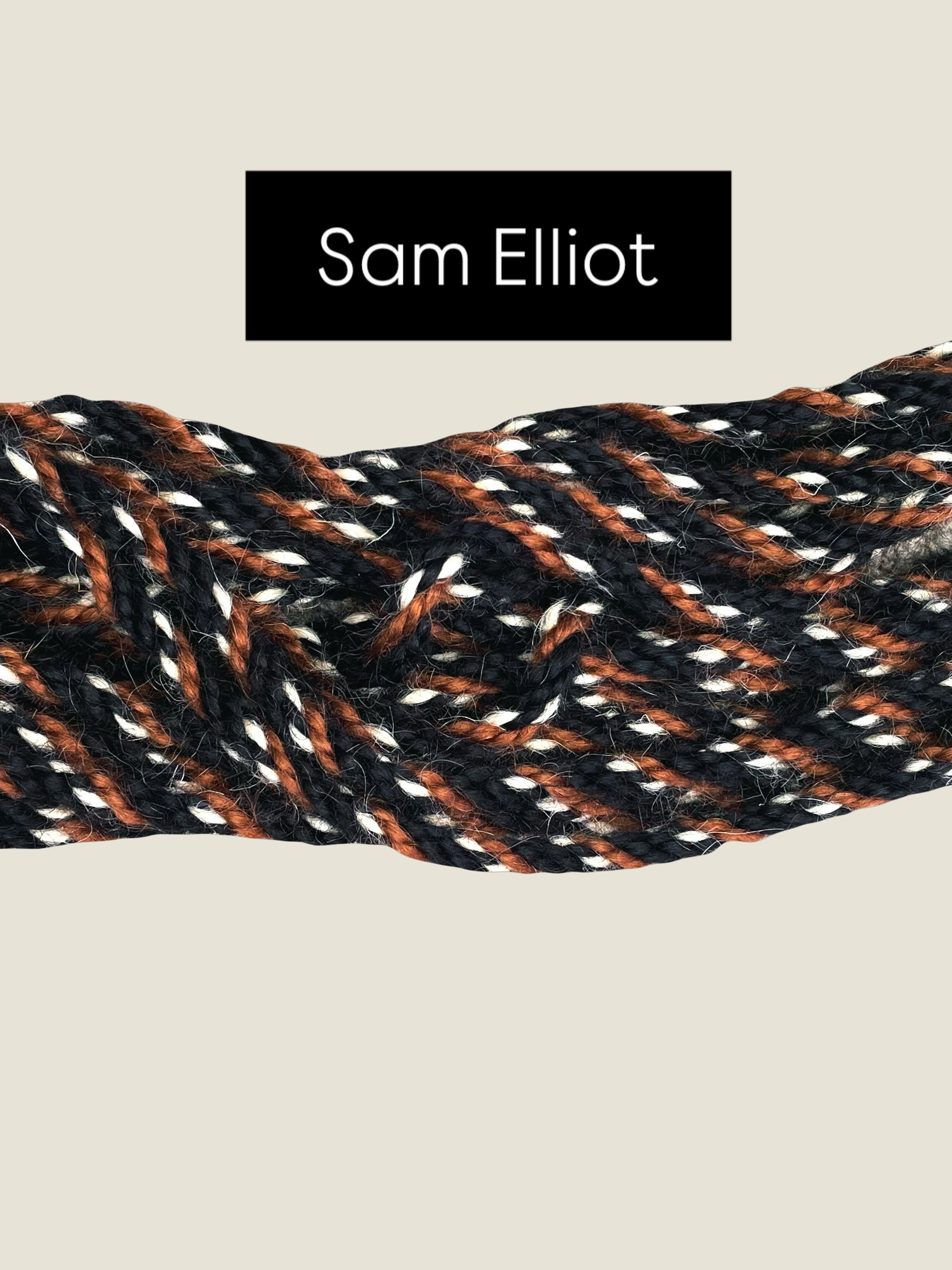 Sam.jpg (Copy) (Copy)