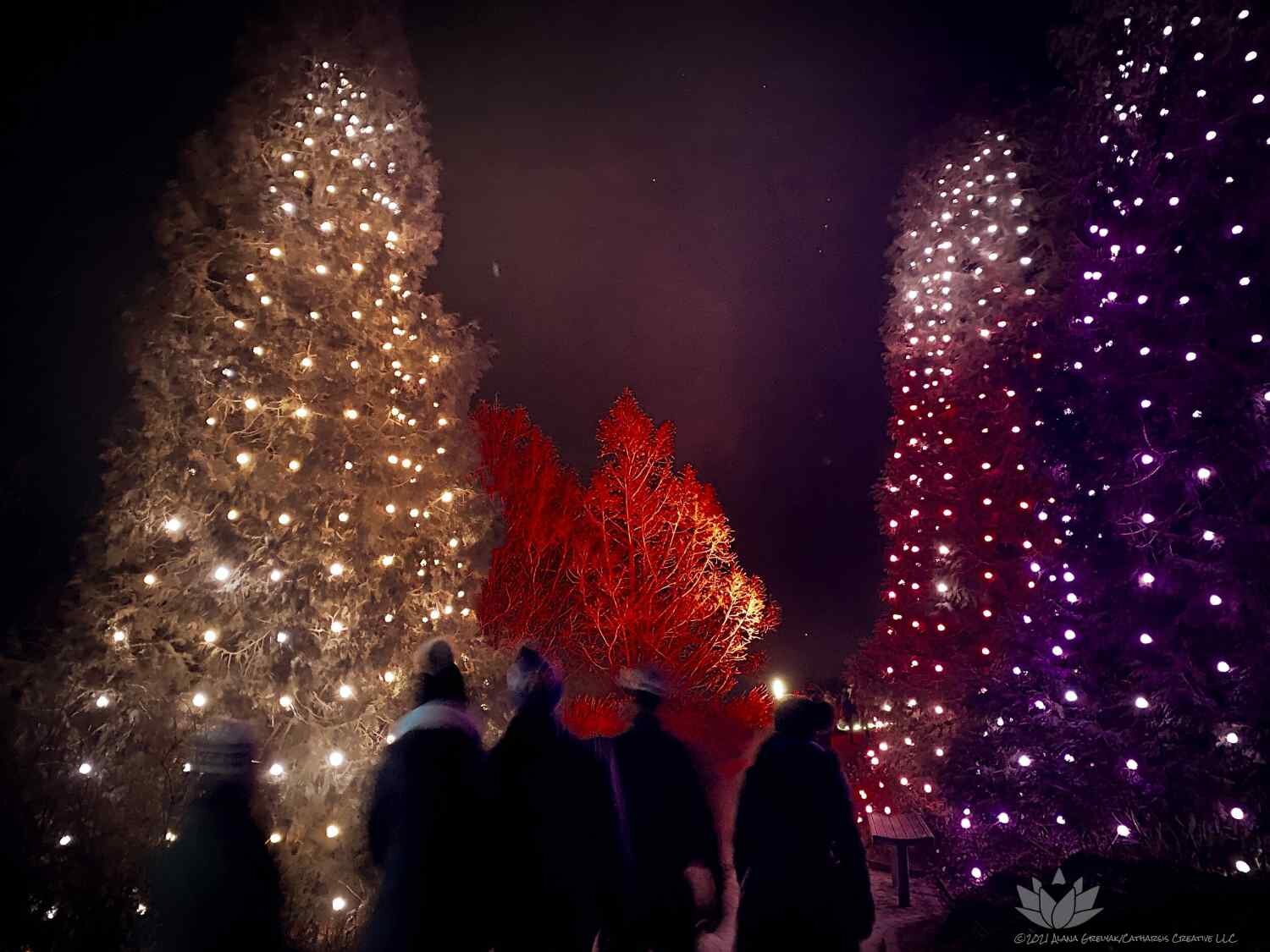 Botanic Garden Winter Lights  (Copy)