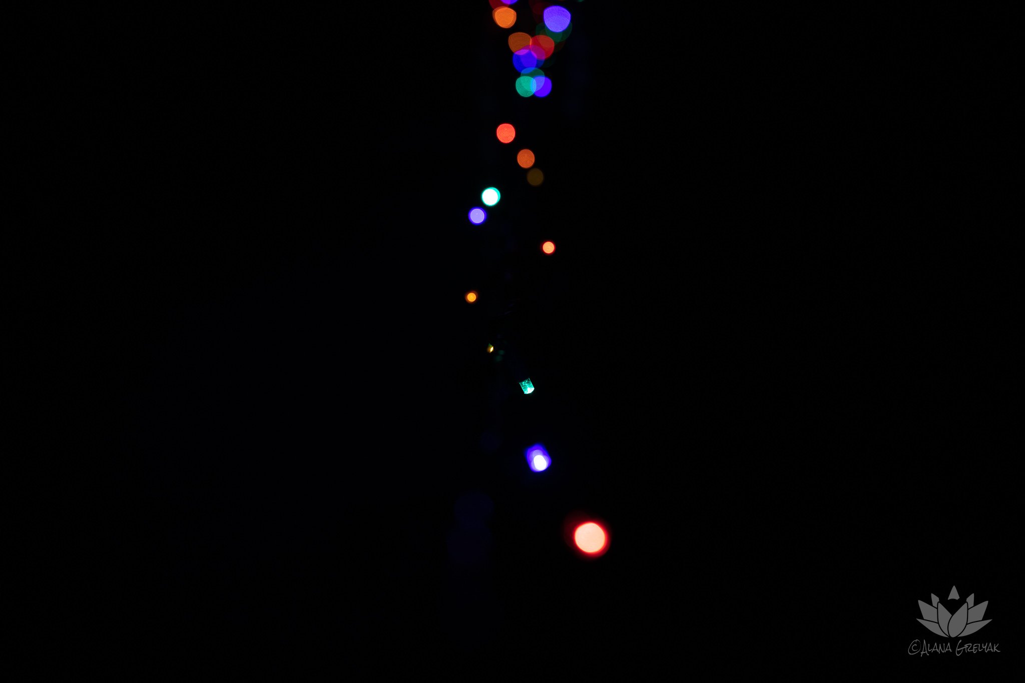 lights.jpg
