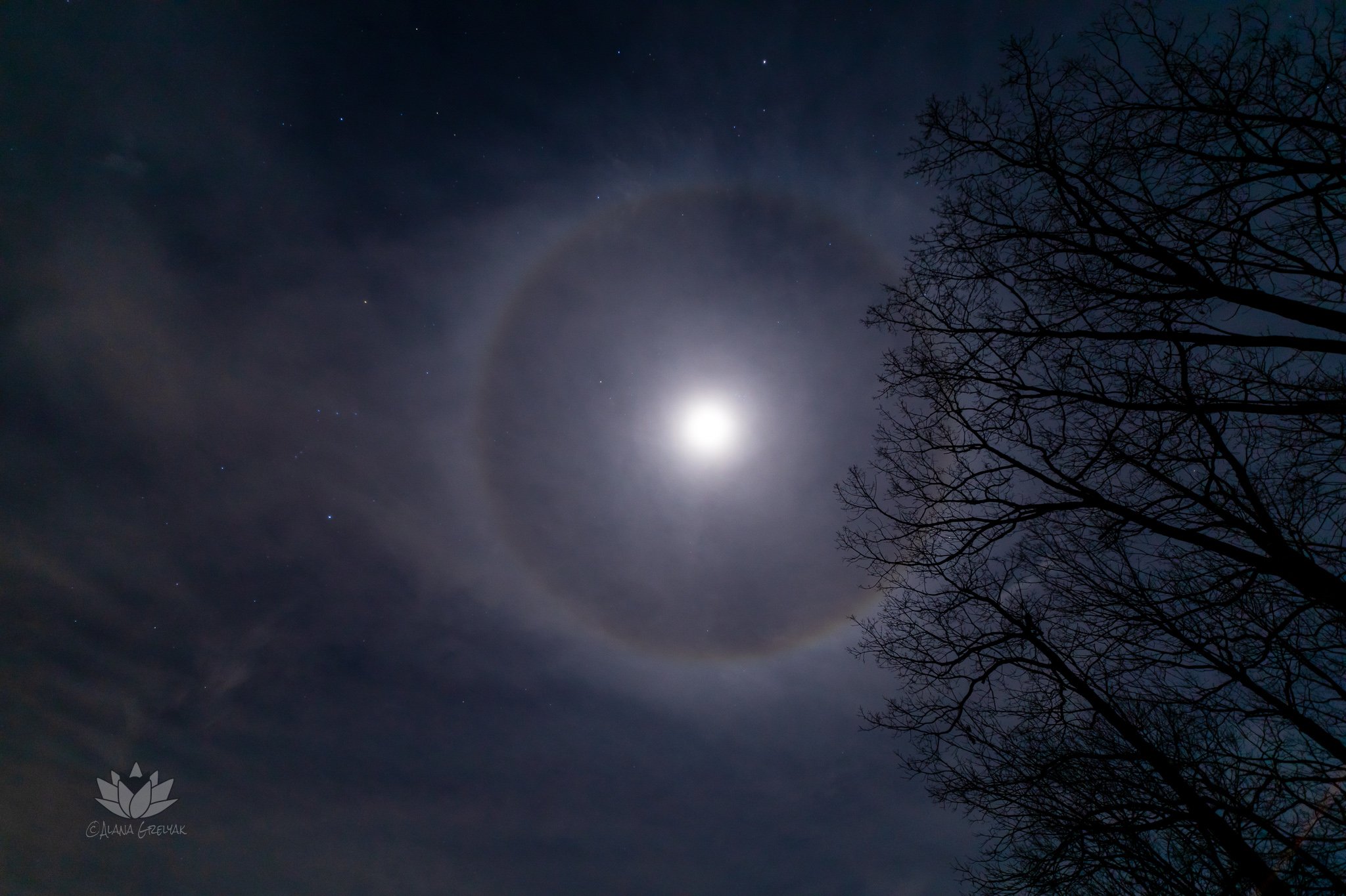 moon halo jan 12 2022-1.jpg