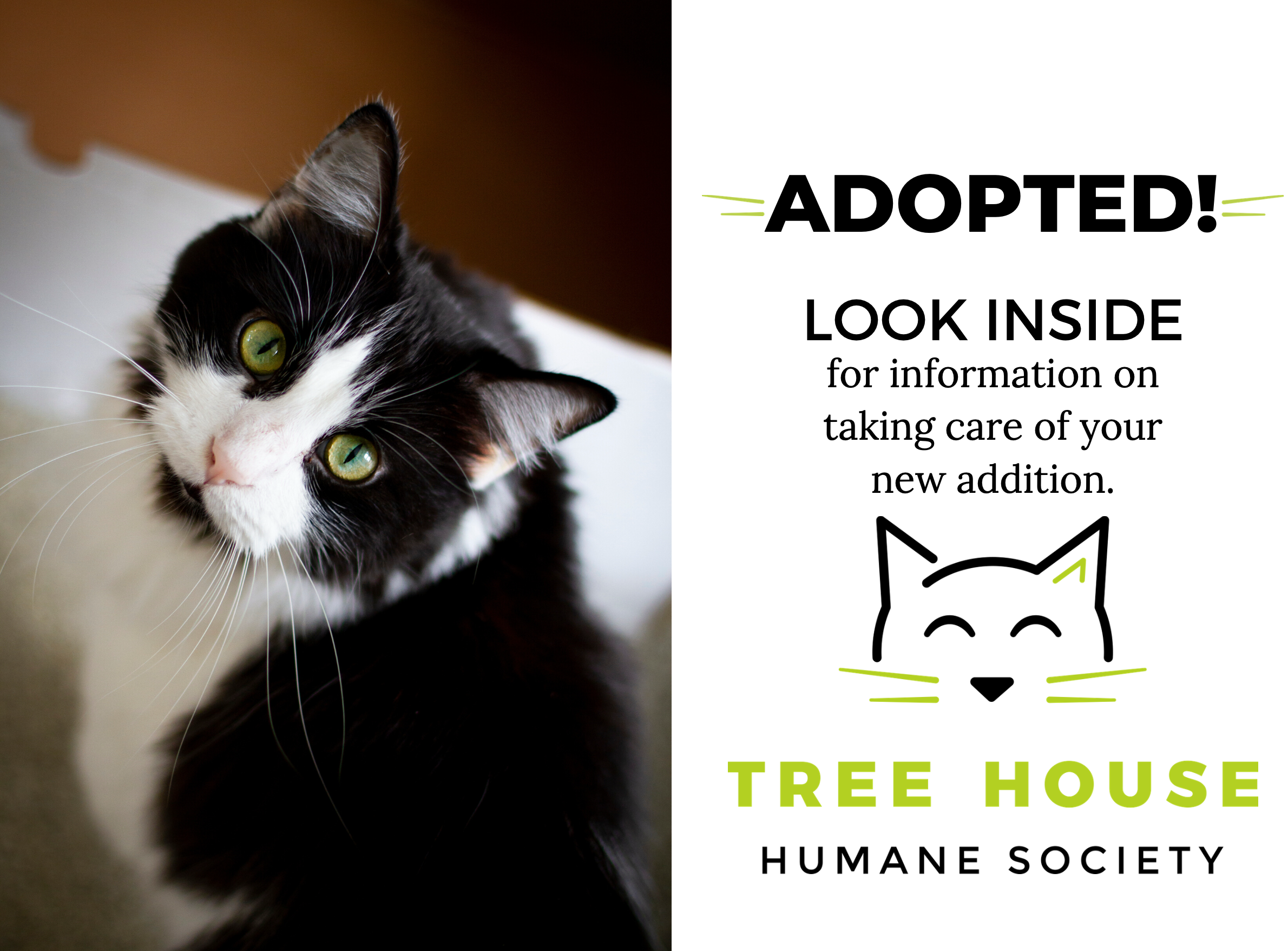 ADOPTED Sticker Packet 2.png