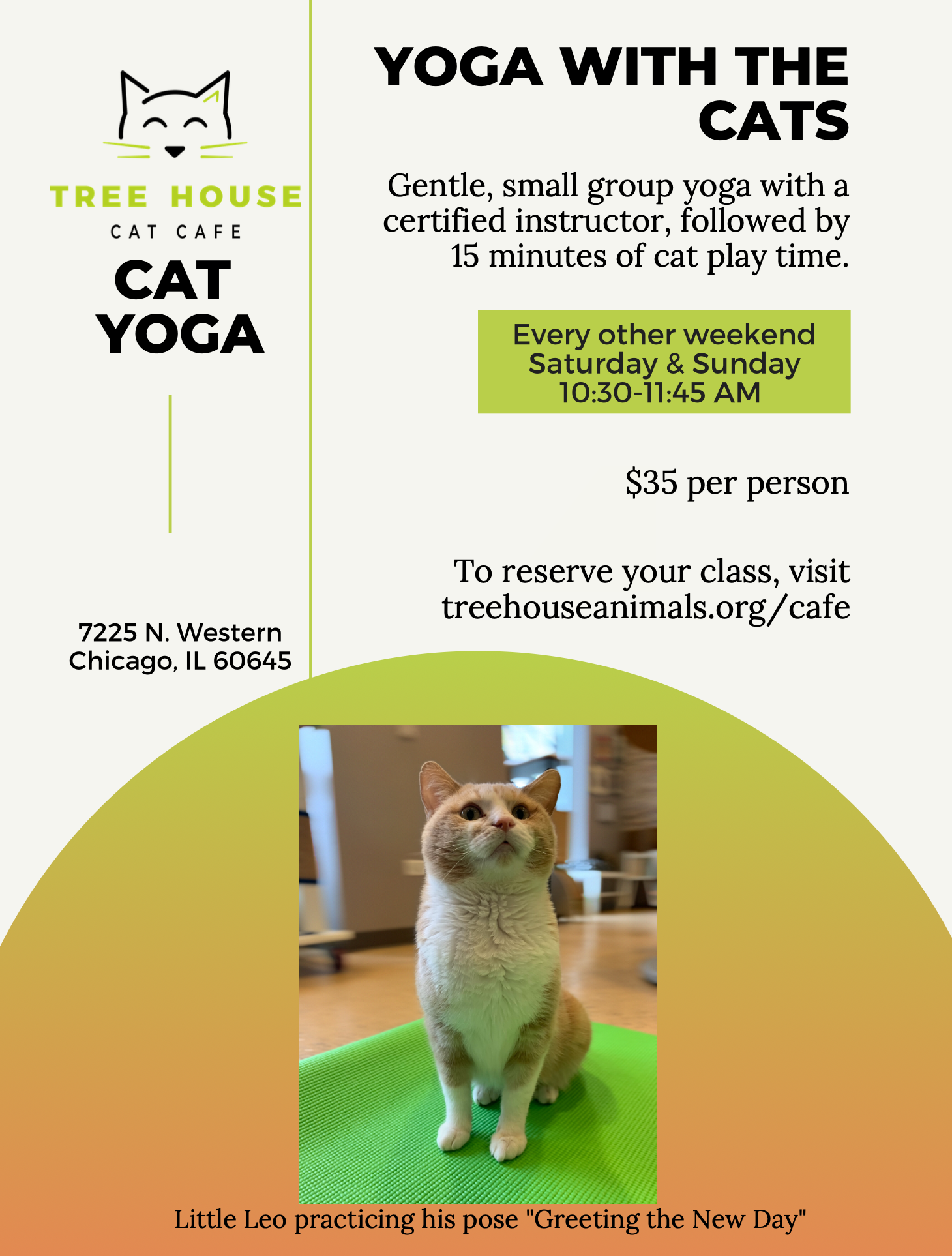 YOGA with cats poster.png