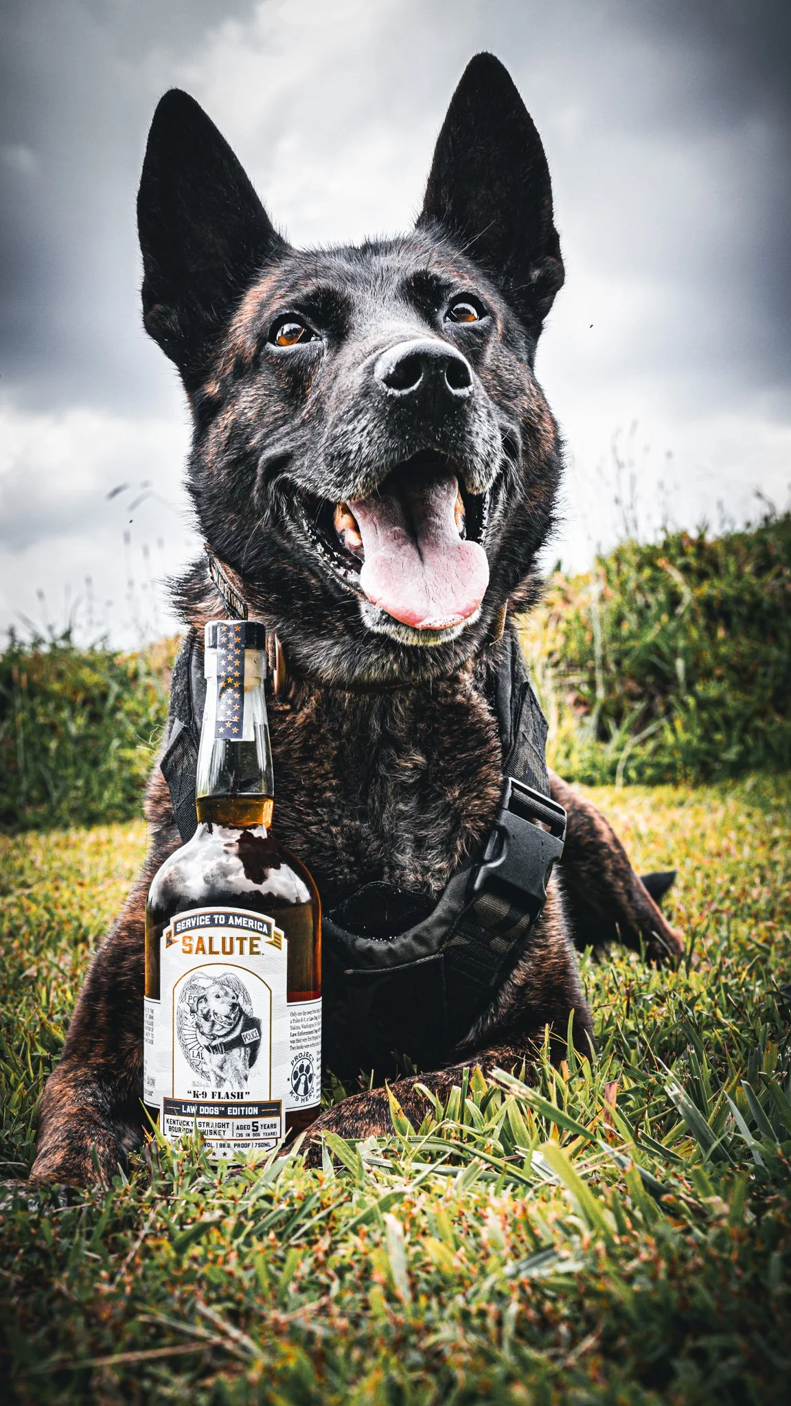 Project K-9 Hero x Heritage Distilling