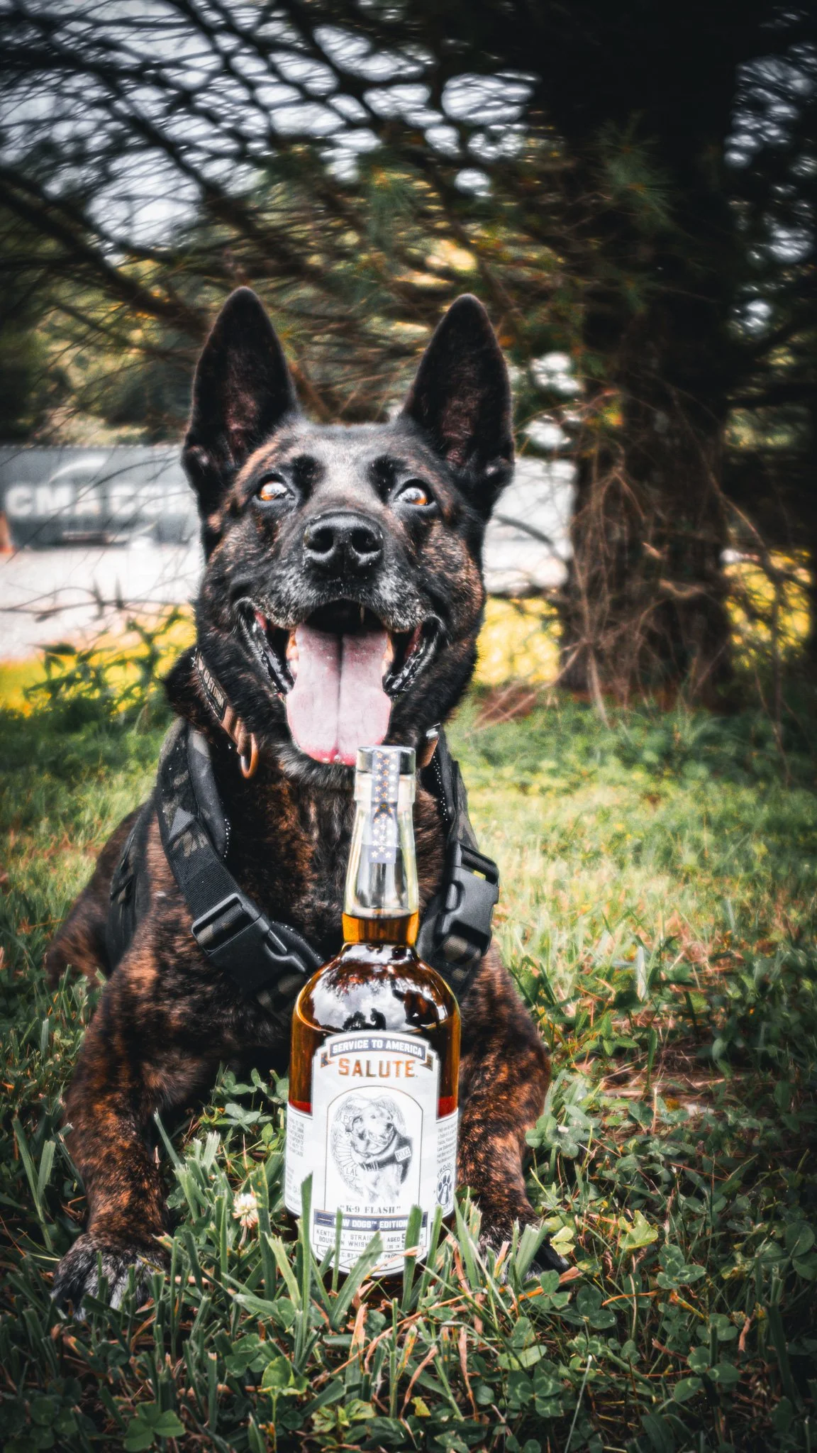 Project K-9 Hero x Heritage Distilling