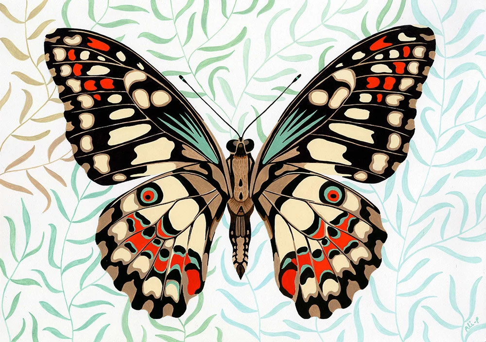 PAPILLION WEB.jpg