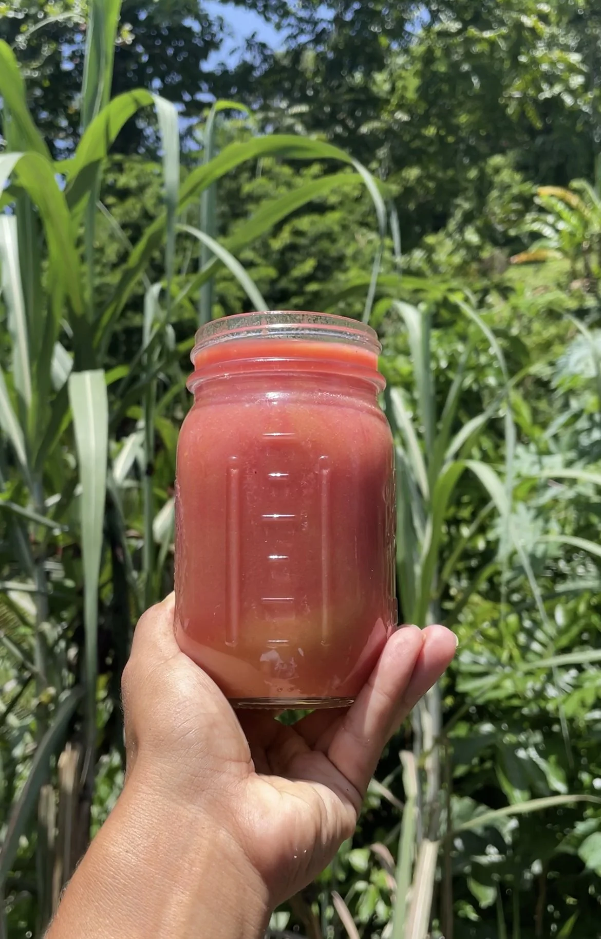 Healing Juices Recipe E-Book Volume 3