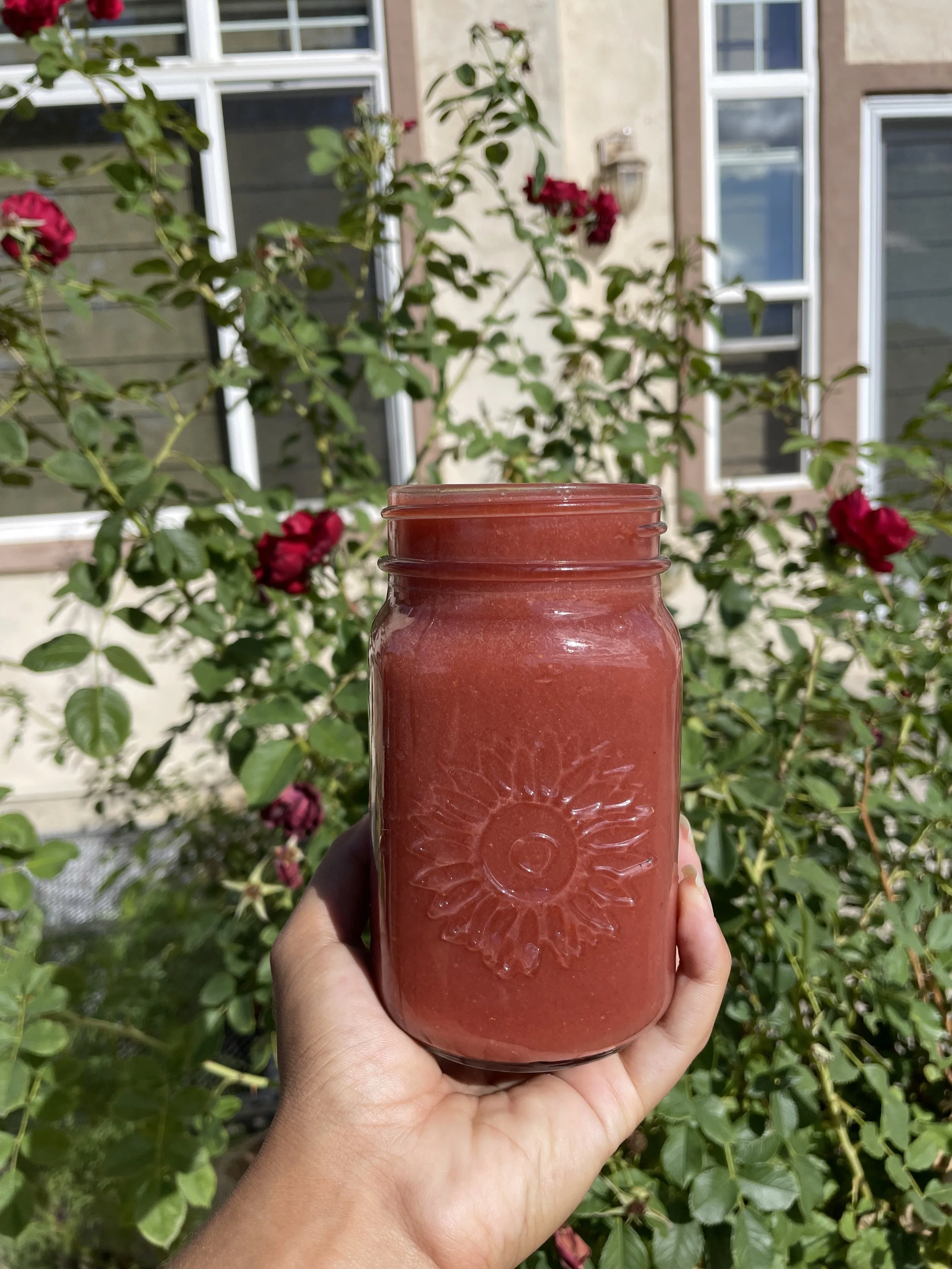 Healing Juices Recipe E-Book Volume 1