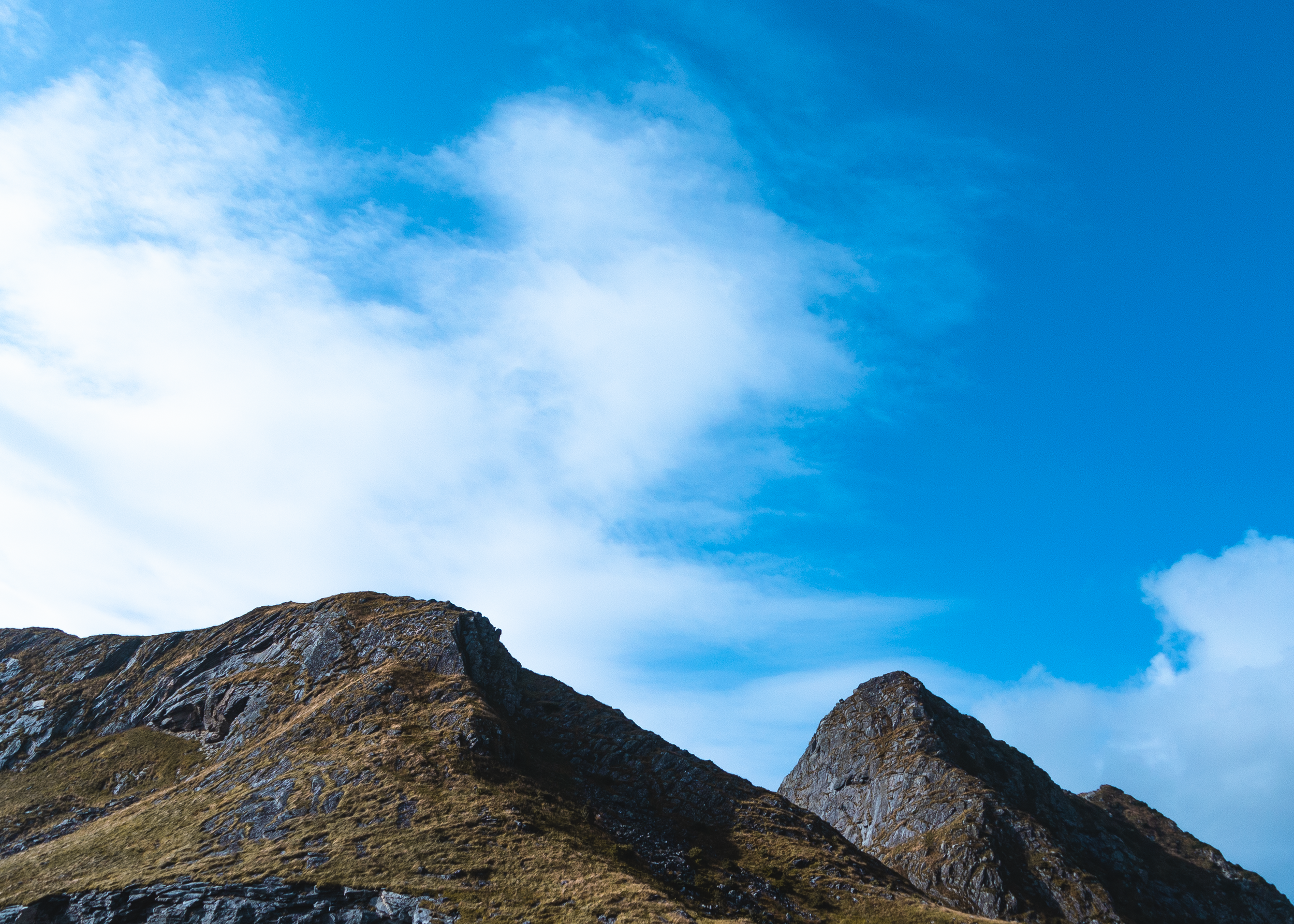 _DSC1444.png