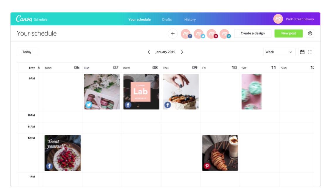 canva5.png