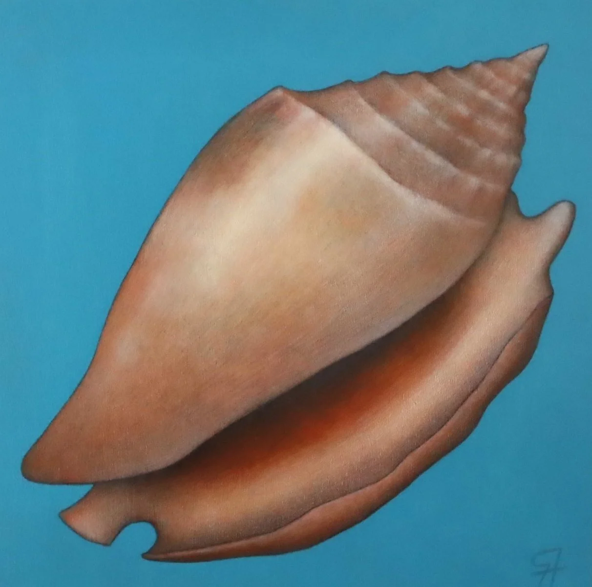 Shell # 1.JPG