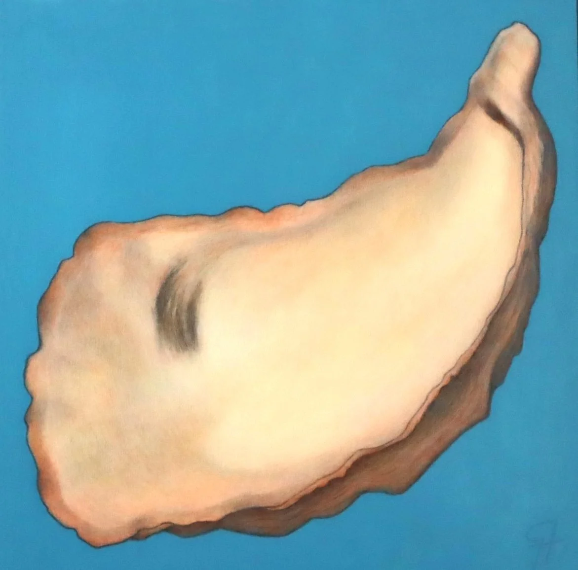 Shell # 2.JPG