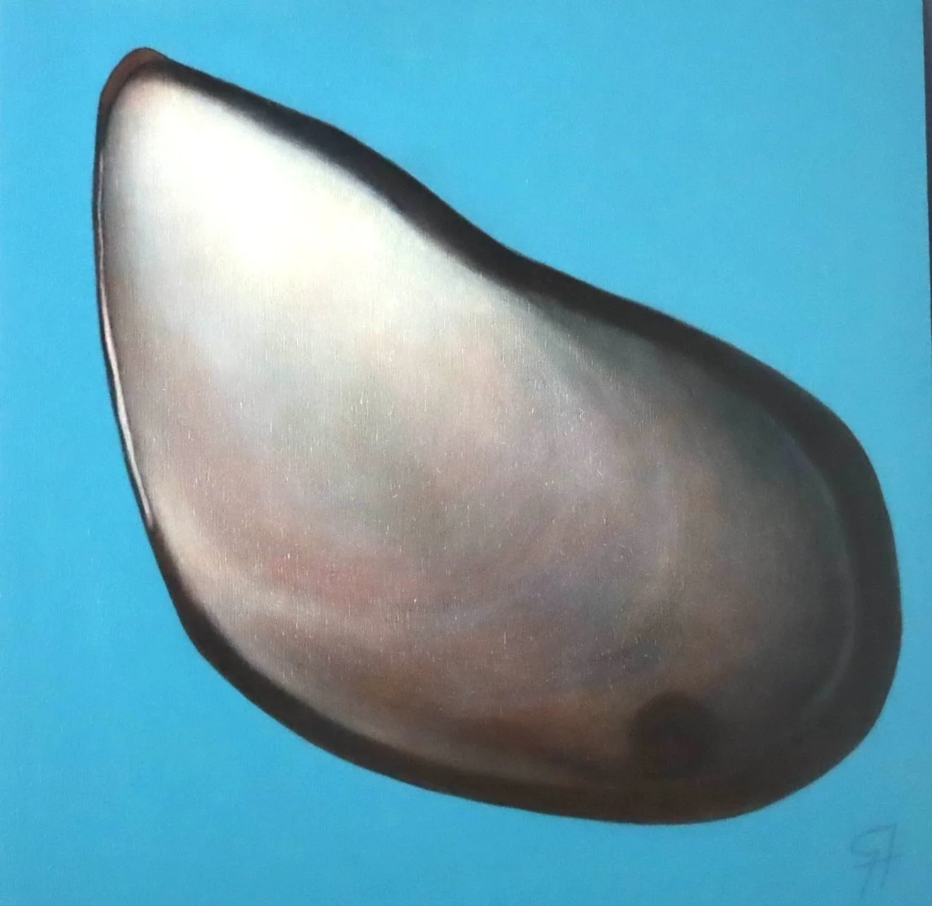 Shell # 5.JPG
