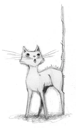 Quizzes_CatMAAA_web.jpg