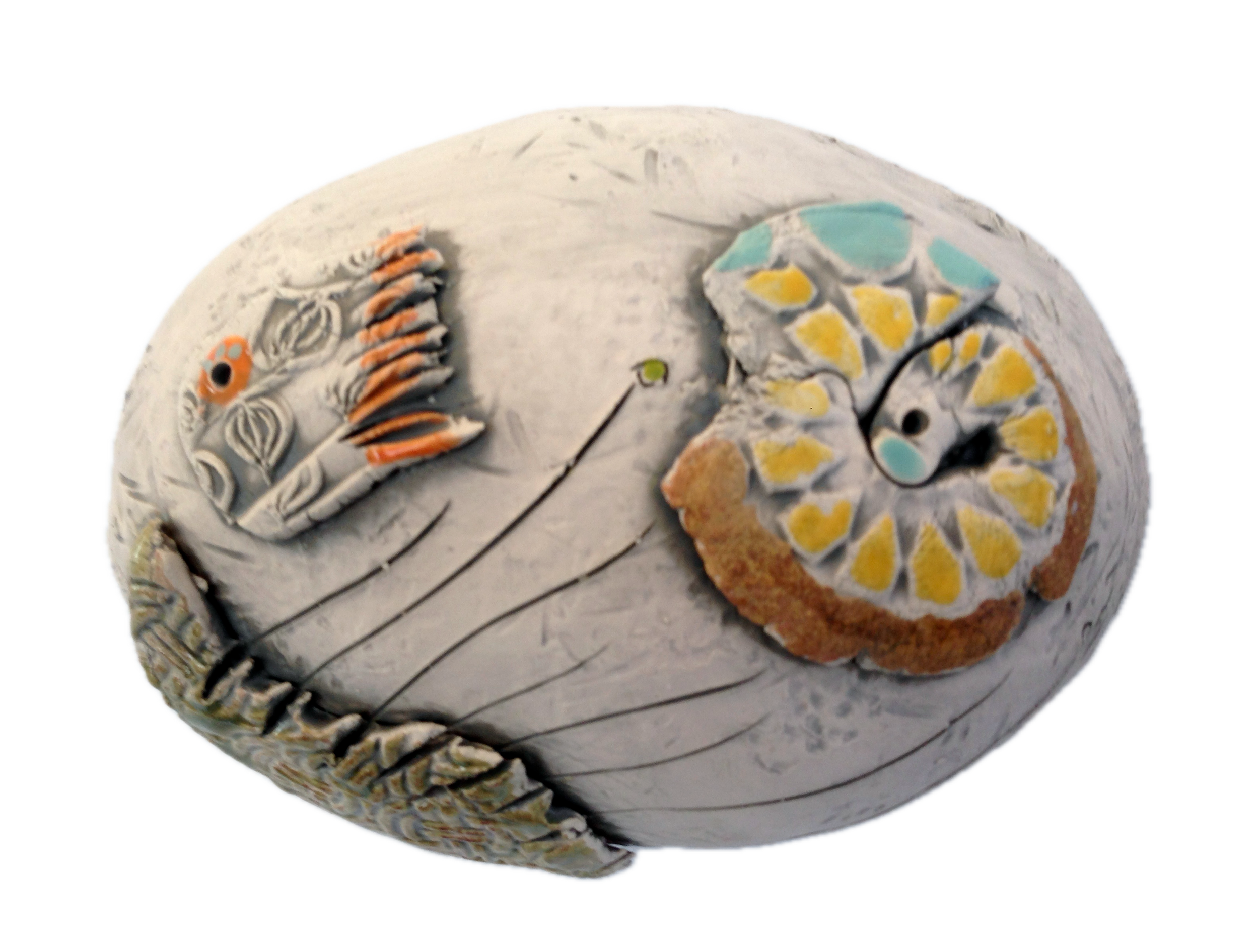 Nautilus Shallows