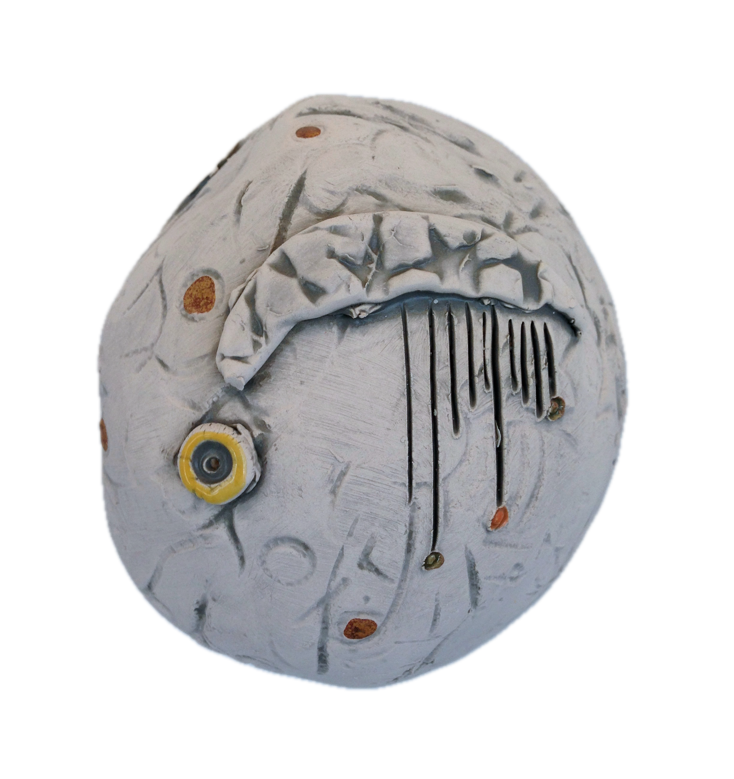 Shrimp Eye