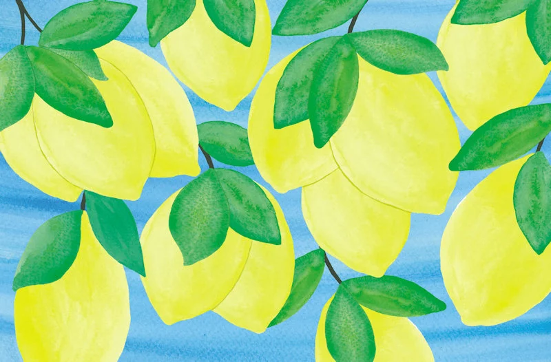 Lemon Paper Placemats — Lucy Grymes