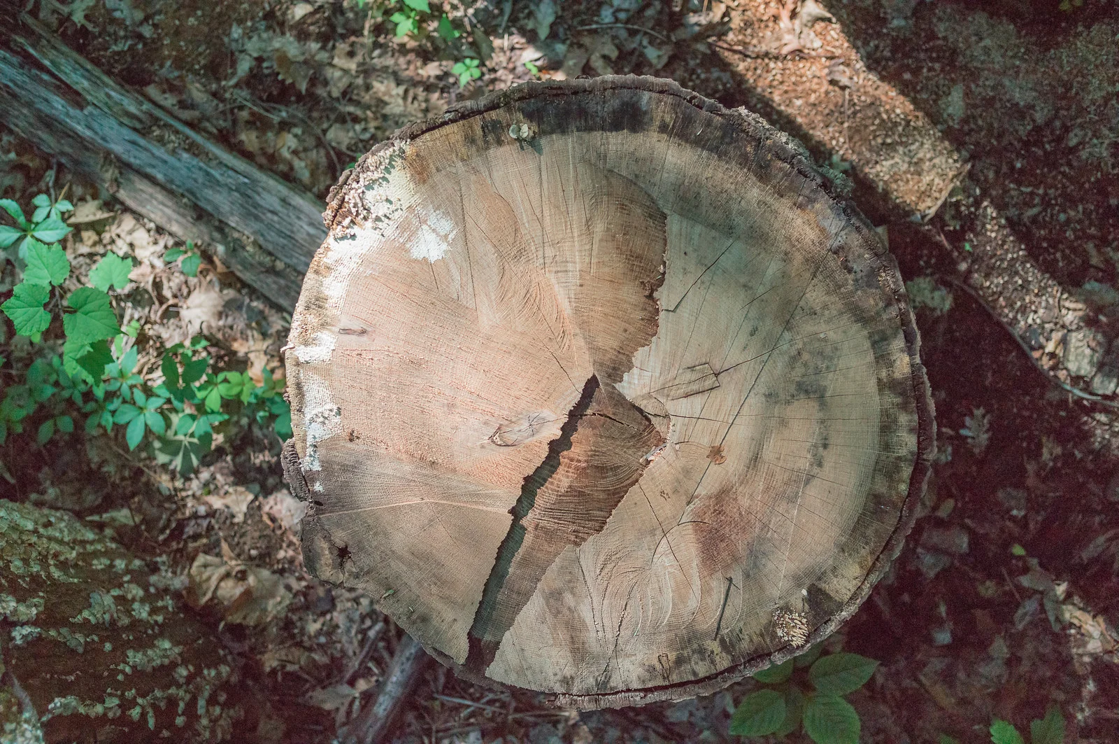 Ordover_Handwright-1005720.jpg