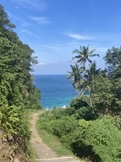 Beautiful Bali nature, an ocean on the background
